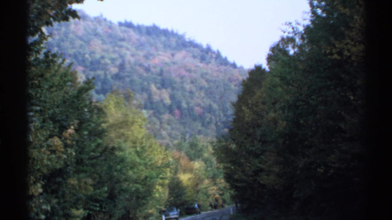 Forested mountain road with autumn foliage and dark 8mm frame edges.