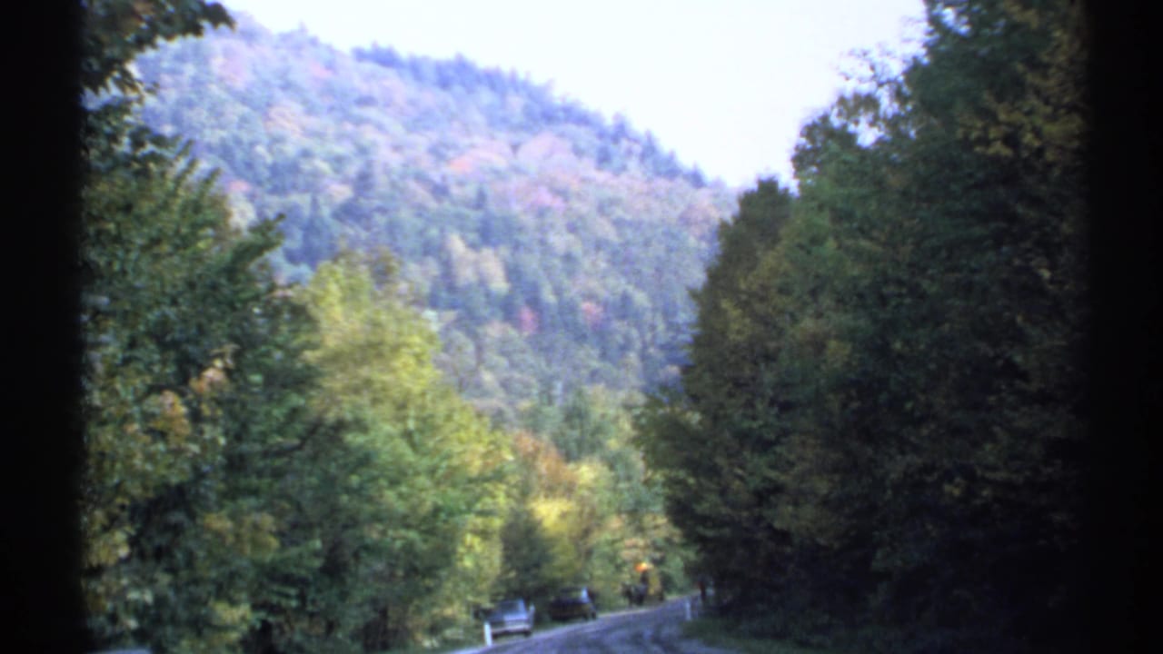 Tree-lined road curving below a wooded mountain slope.