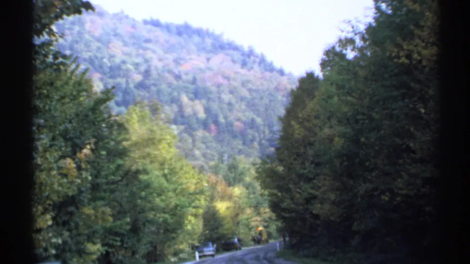 A 1971 New York home-movie frame shows a road bordered by dense trees, with a softly focused mountain slope beyond.