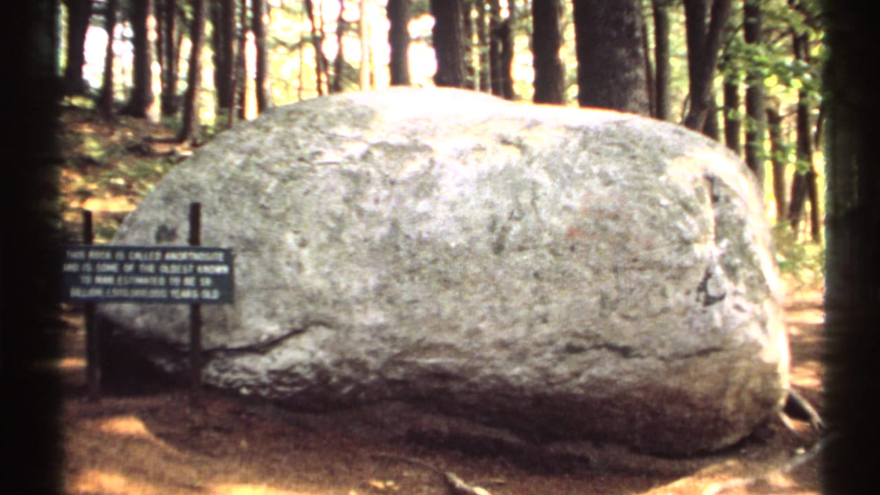 Large grey boulder beside a dark sign in a sun-dappled forest.
