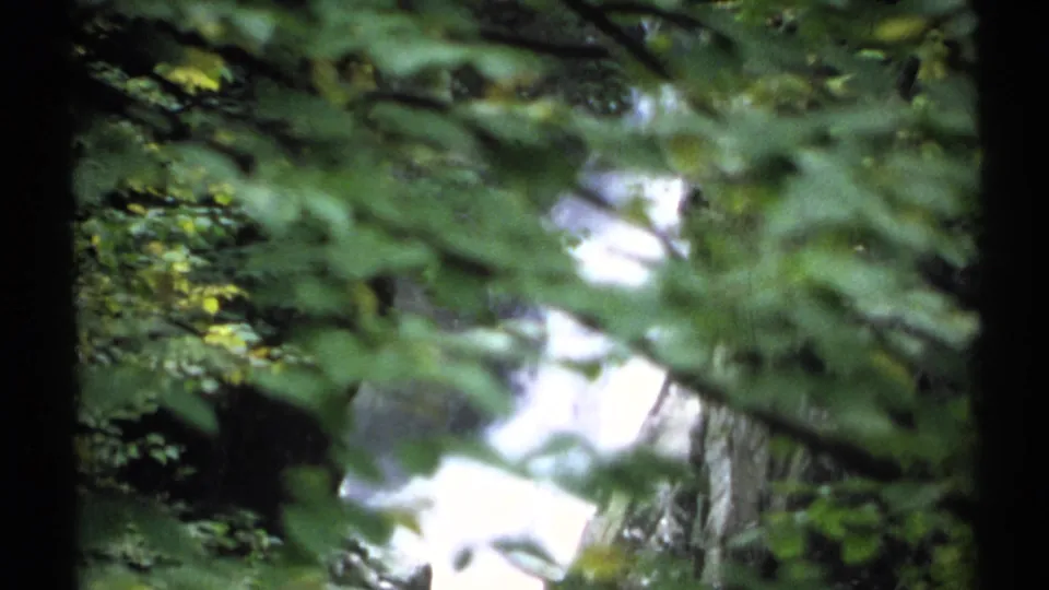 Soft 1971 New York 8mm frame looking through green leaves toward the bright waterfall and rock wall beyond.