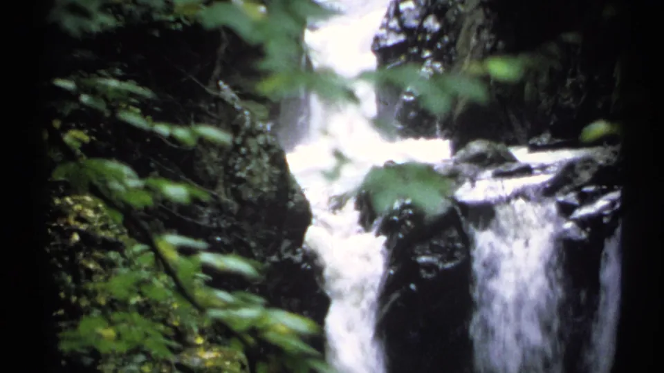 1971 New York 8mm frame of a narrow waterfall channel seen through foreground foliage.