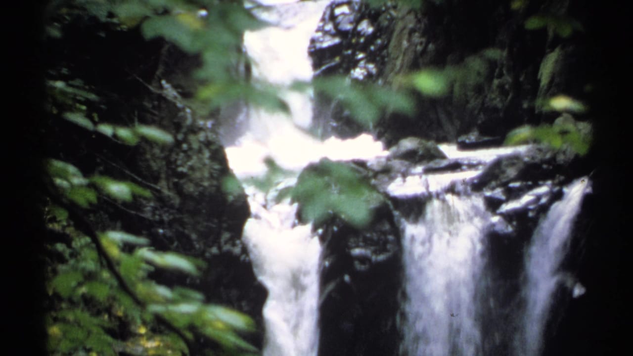 Waterfall drops through a shaded rocky canyon behind green leaves.