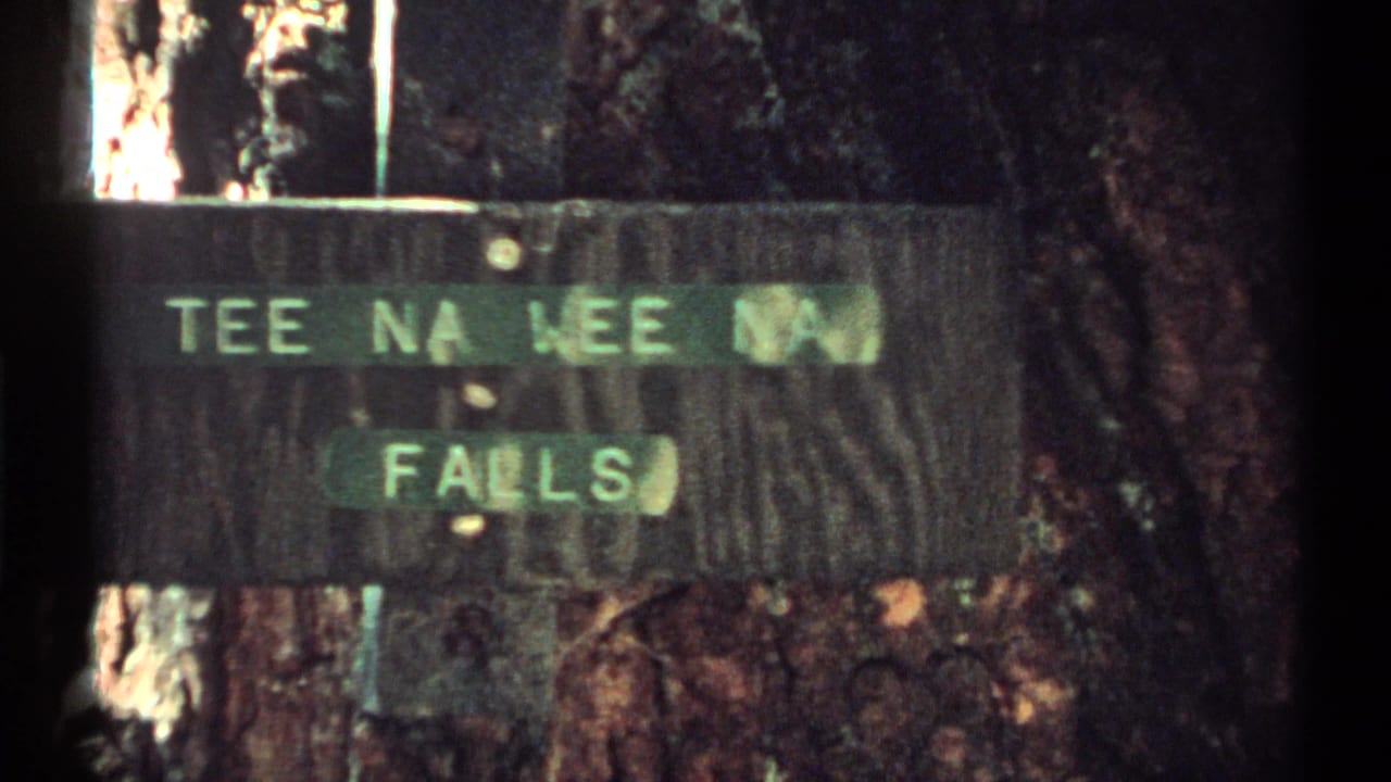Wooden sign reading Tee Na Wee Na Falls mounted among tree trunks.
