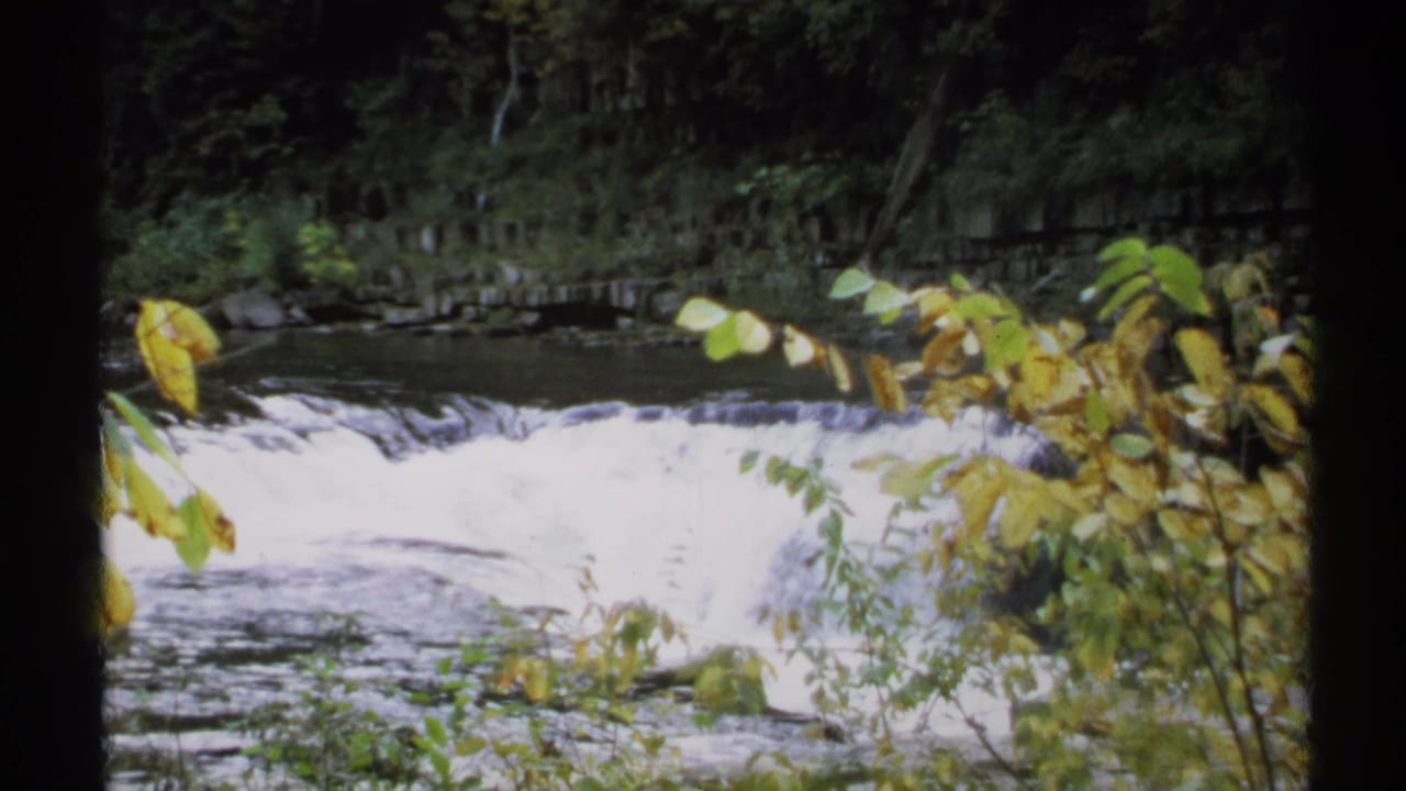Foaming waterfall behind yellow-green leaves in a wooded rocky setting.