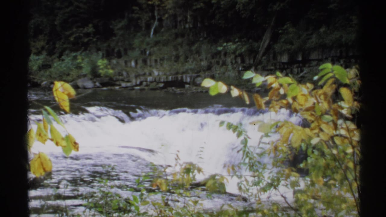 Wide view of rushing water with leaves in front and a stone wall beyond.