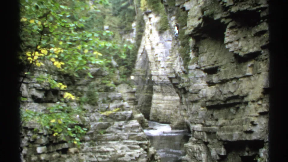 1971 New York 8mm frame of foliage, stratified canyon rock, and a narrow watercourse below.