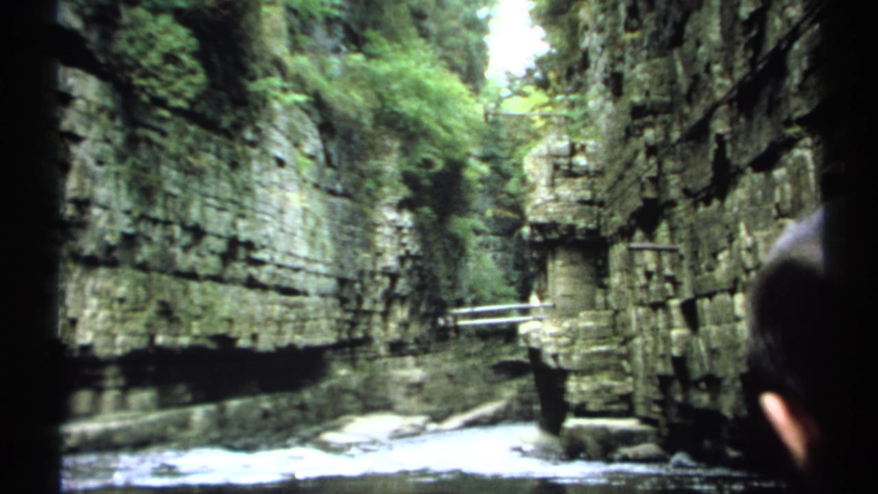 Narrow limestone gorge with stream, trees, and a small bridge in the distance.
