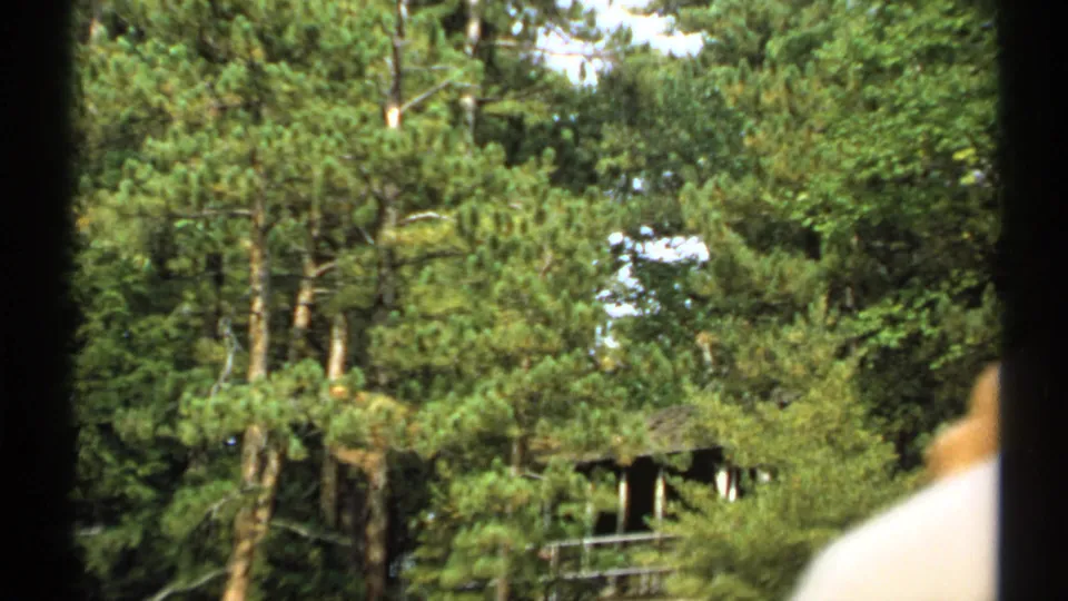 1971 New York 8mm frame of dense trees along the river with a small wooden structure partly visible in the background.