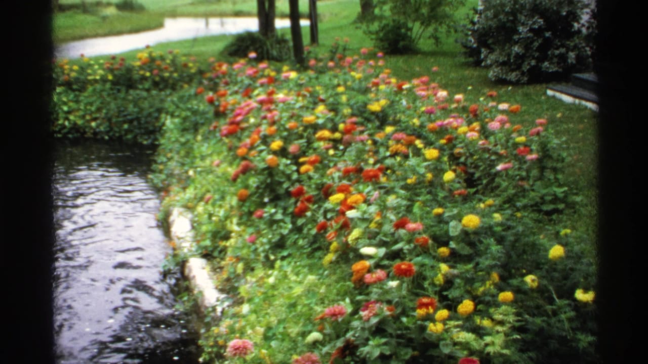 1971 Rollag, Minnesota 8mm frame showing red, yellow, orange, and pink flowers beside a narrow water channel in a landscaped park.