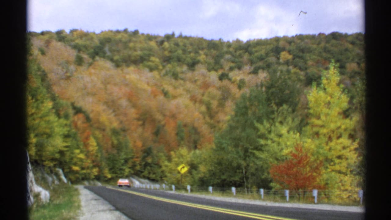Winding rural road bordered by autumn forest with a distant red car.