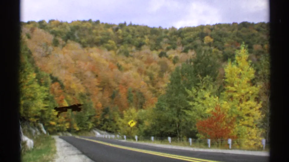 1971 Vermont home-movie frame showing a quiet paved road below dense autumn trees and visible 8mm frame edges.