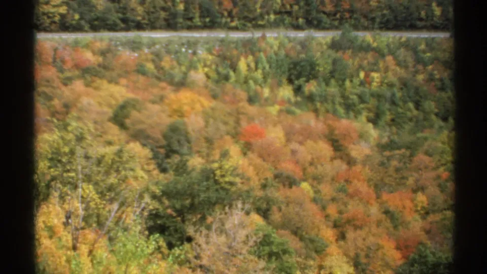 1971 Vermont 8mm frame showing dense orange, green, and yellow foliage on a hillside, with a narrow roadway or rail line near the top.