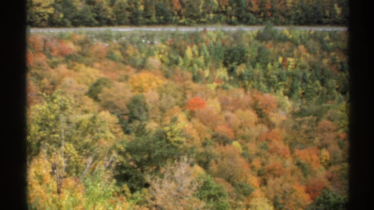 Autumn hillside forest seen through dark vertical window trim with a distant road near the top.