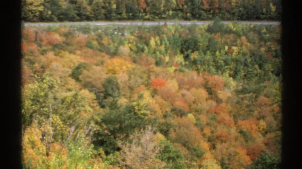 1971 Vermont autumn foliage in reds, yellows, oranges, browns, and greens, viewed from an elevated position through dark window framing.