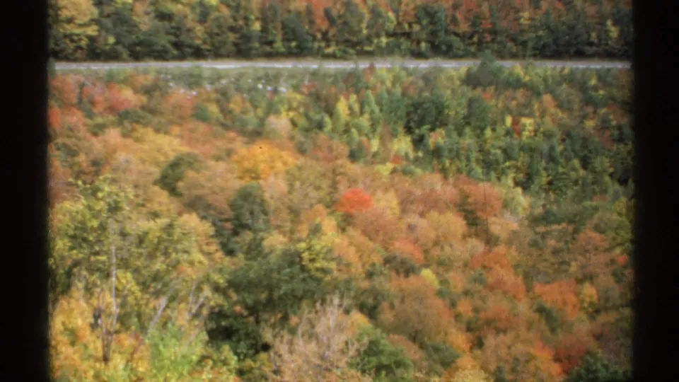 Vermont fall foliage appears in layered reds, yellows, oranges, and greens, with dark window trim dividing the 8mm home-movie frame.