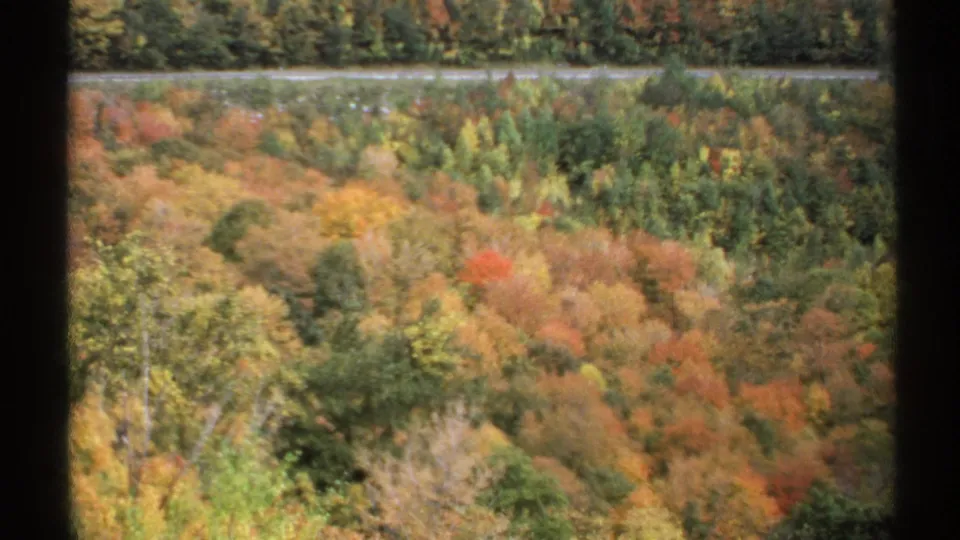 A steady 1971 Vermont 8mm view shows mixed autumn trees on a hillside, with a pale road running horizontally in the distance.