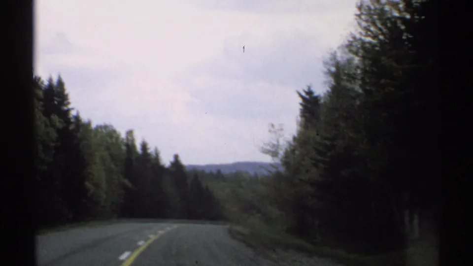 Vermont 8mm road footage showing a gentle curve through dense roadside forest, with low hills visible beyond the tree line.