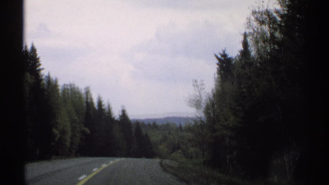 Two-lane road through dense evergreen woods under a pale sky.