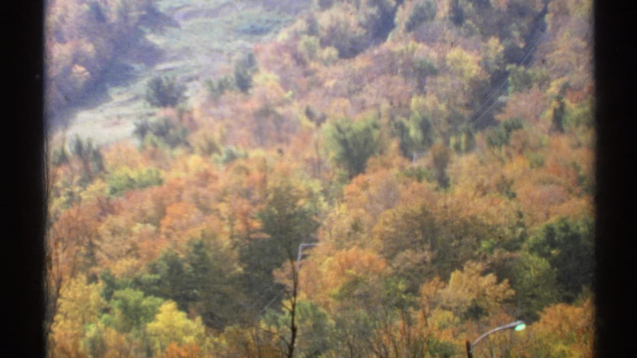 1971 Vermont 8mm view of a fall-colored hillside with orange, yellow, and green trees, plus utility lines and a roadside streetlight.