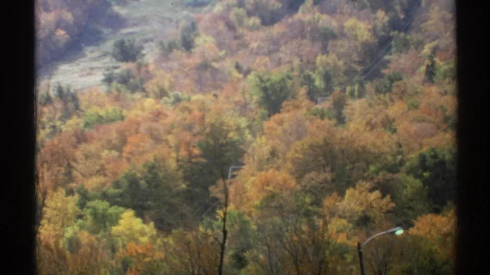 1971 Vermont 8mm frame of a fall-colored hillside with orange and green trees, a streetlight, utility lines, and dark edge framing.