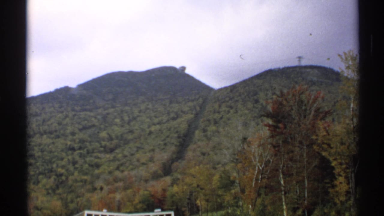 Two forested mountain peaks with a ski-lift corridor under an overcast sky.