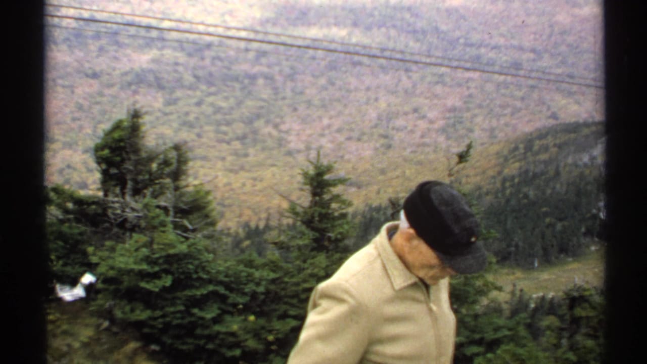 Man in a beige jacket looks downward near evergreens with a mountain valley in the background.