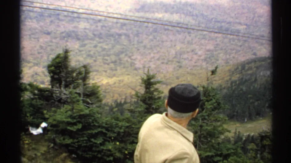 The man remains turned toward the Vermont valley, his black cap and beige jacket in the foreground against evergreens, power lines, and layered wooded hills.
