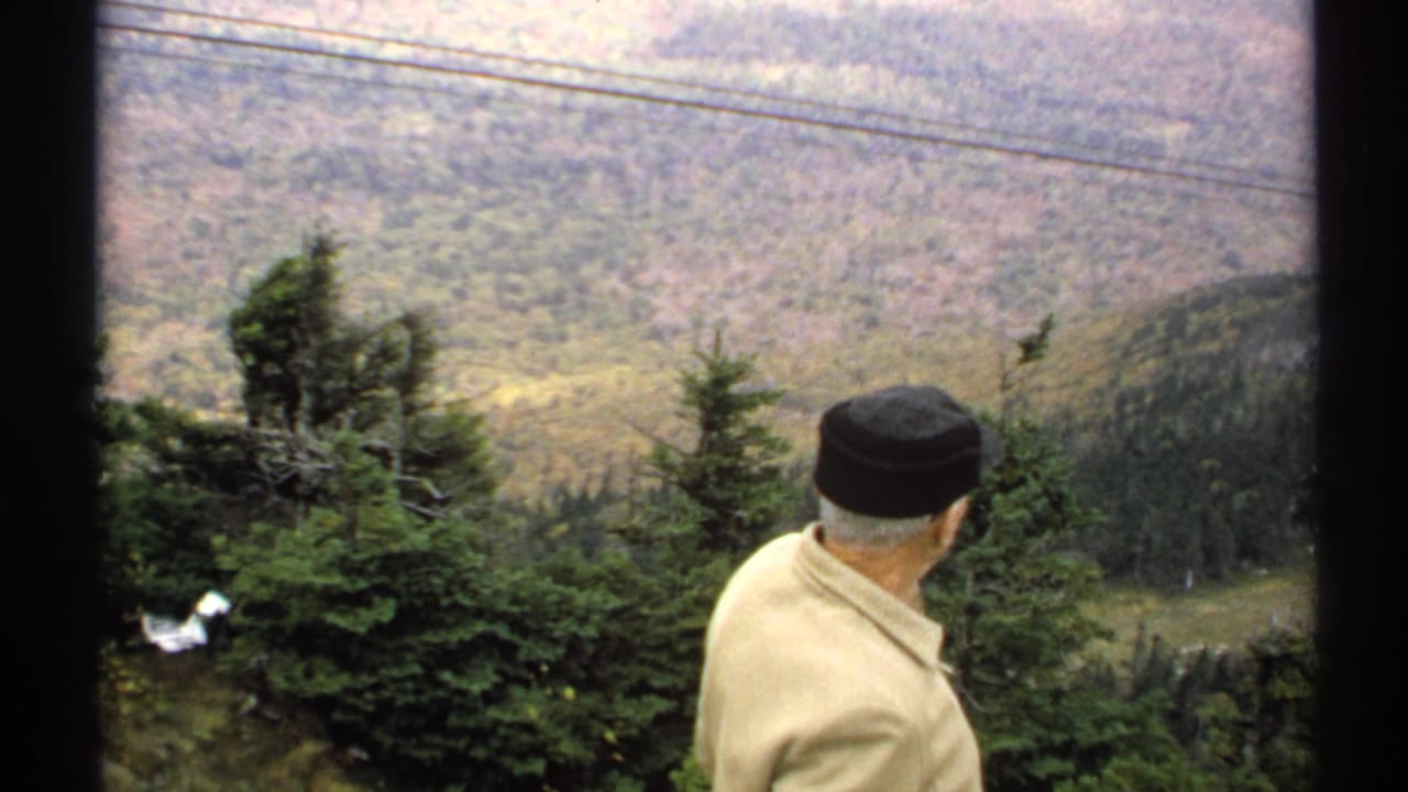 Older man in a dark cap looks over a forested mountain valley from an overlook.