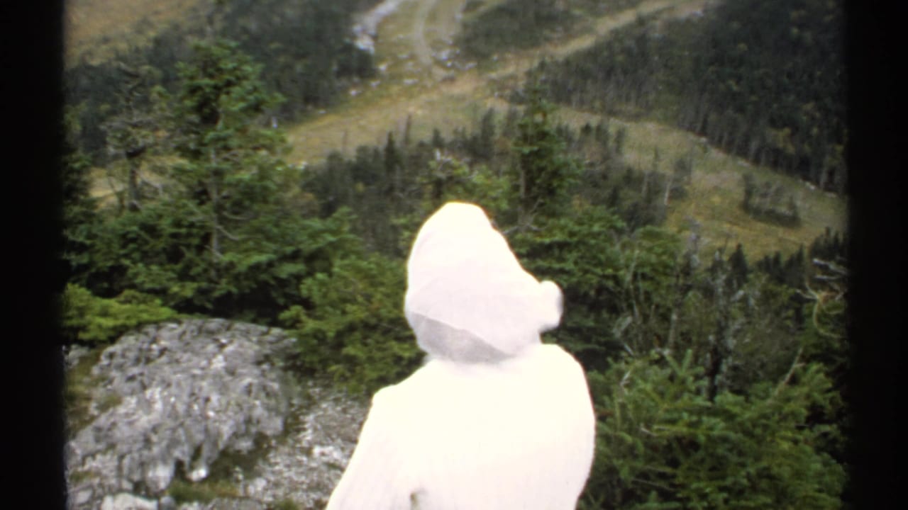 White hooded figure stands near trees and looks toward a rocky ledge and valley.