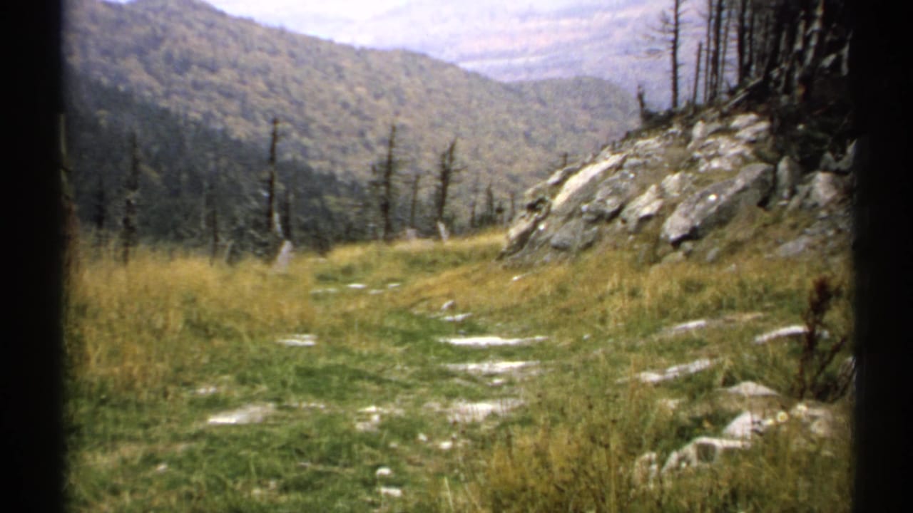 Grassy mountain overlook with rocks, bare trees, and wooded hills beyond.