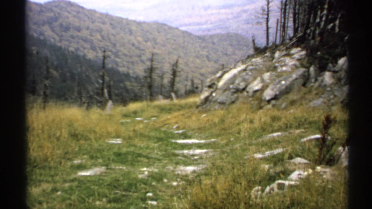 Rocky grass-covered mountain slope with sparse trees and distant hills.