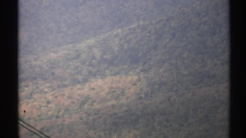 1971 Vermont 8mm frame showing a misty wooded slope with subdued fall color and faint utility wires at the bottom left.