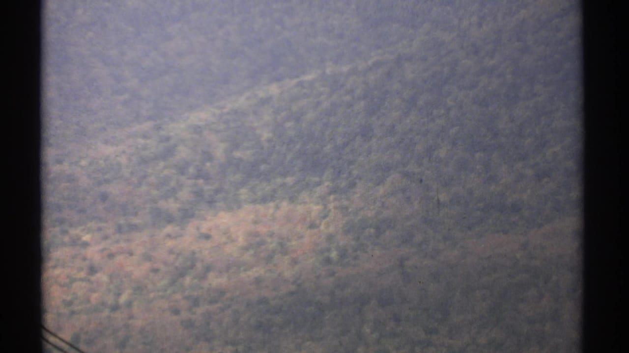 Forested mountain slope seen through dark window framing during a tram ride.