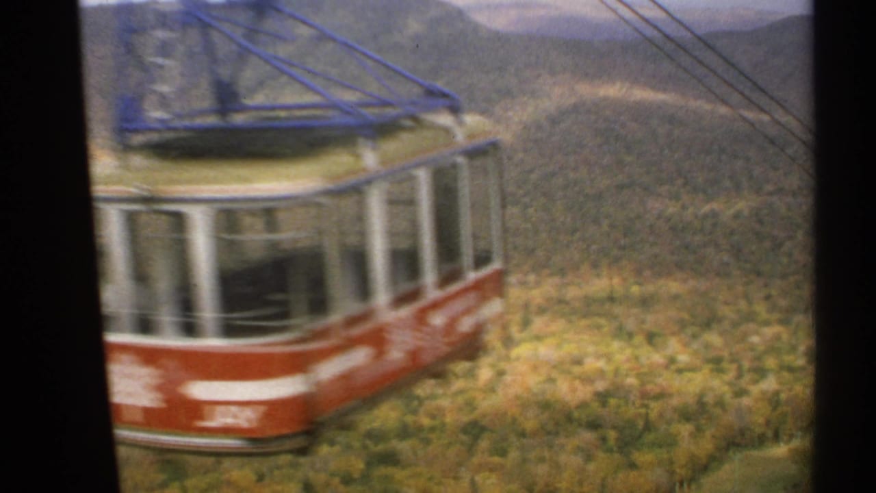 Red and white tram car close to the camera on overhead cables above trees.