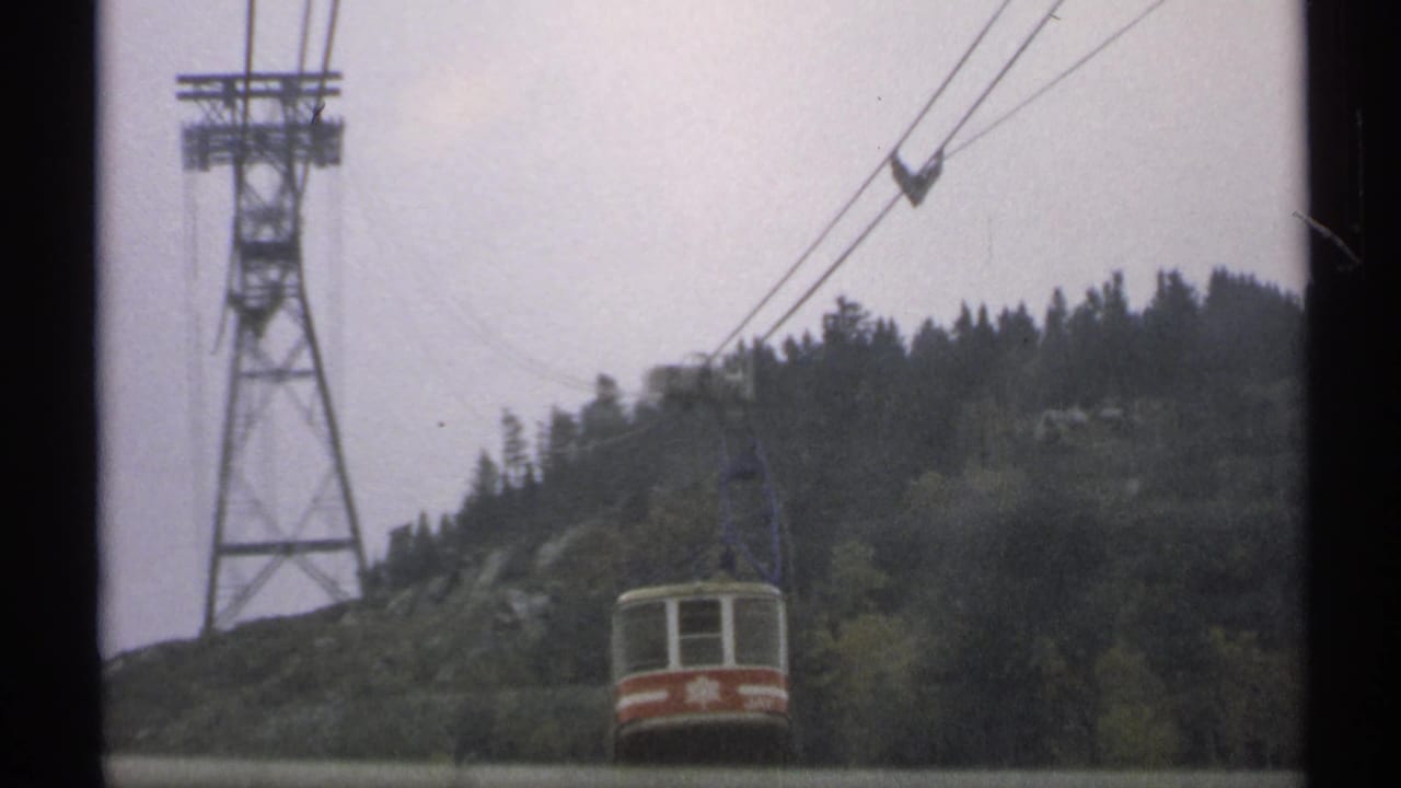 Ski lift car and tower on cables above a wooded mountain slope.