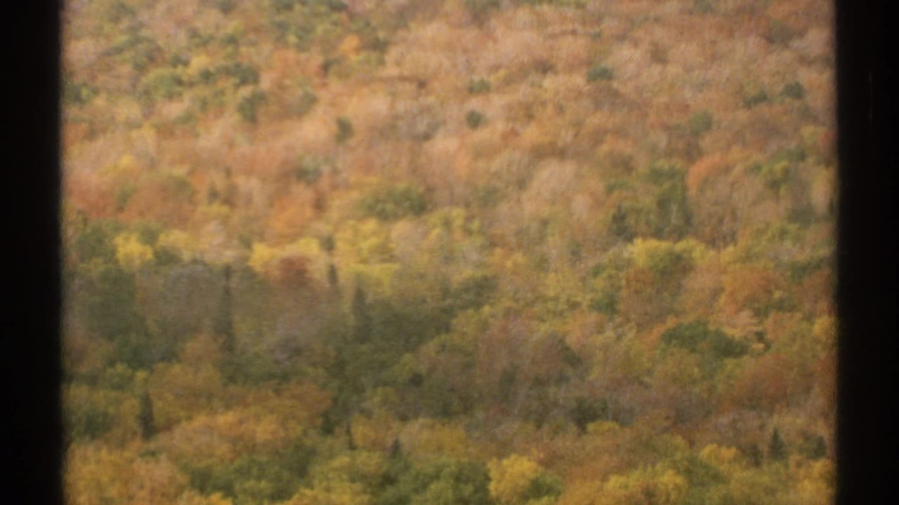 Autumn hillside covered with yellow, orange, and green foliage.