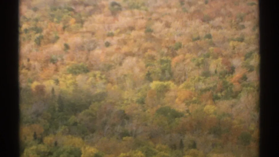 1971 Vermont mountain slope filled with autumn foliage, scanned with soft 8mm grain and dark frame edging.