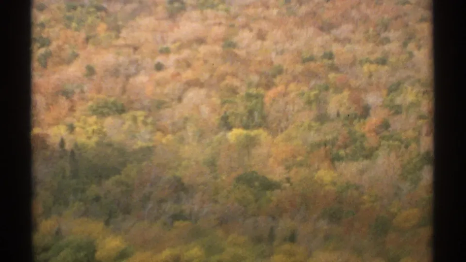 1971 Vermont home-movie frame showing a wooded hillside with yellow, orange, and green autumn foliage in soft focus.