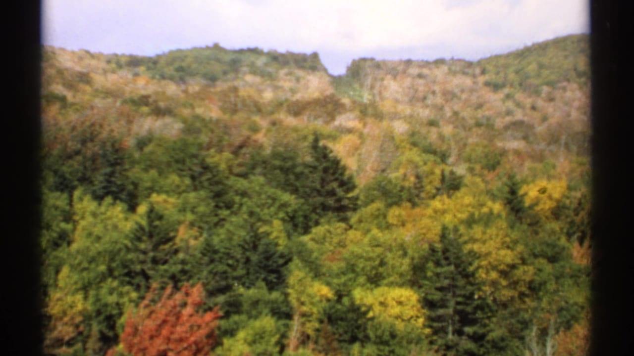 Autumn forest and rocky hillside under a pale sky.