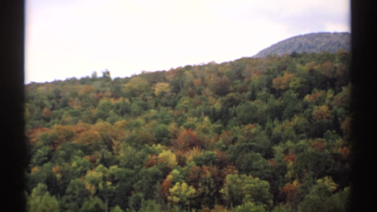 Wooded Vermont hillside with early autumn color and a rounded ridge under pale sky.