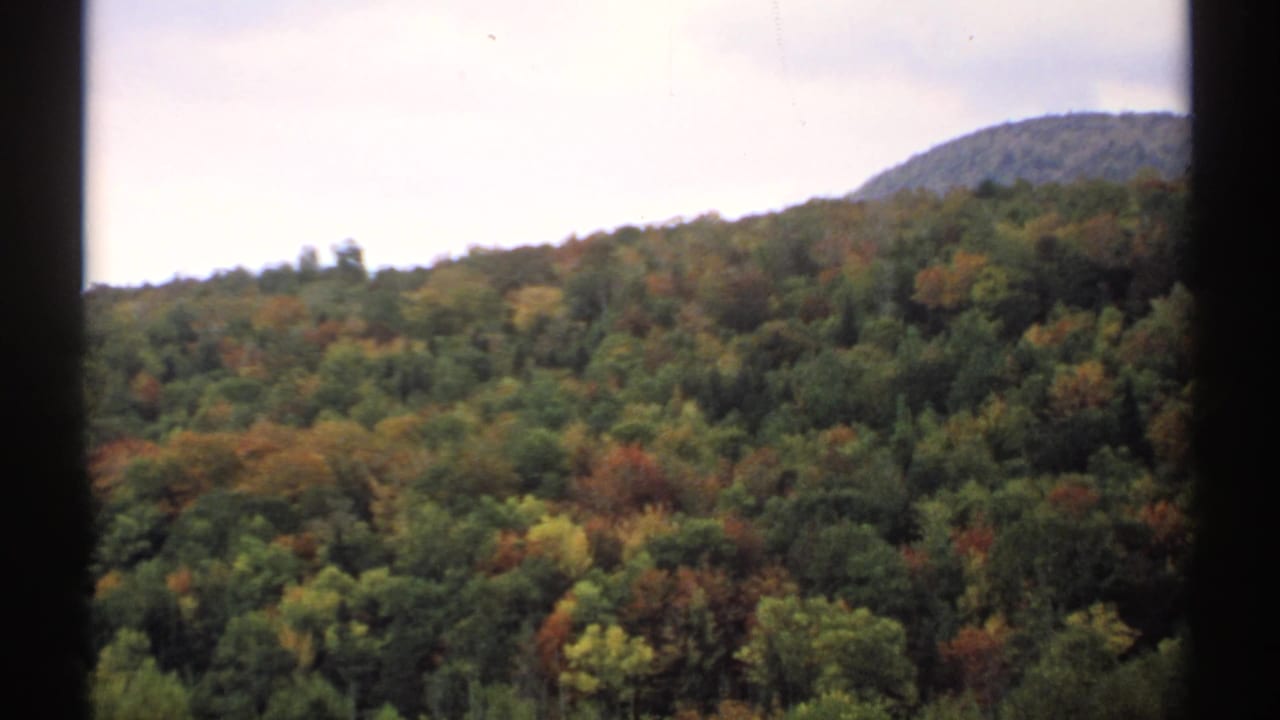 1971 Vermont home-movie frame of a wooded mountain slope, with green, yellow, and orange foliage beneath a pale sky.