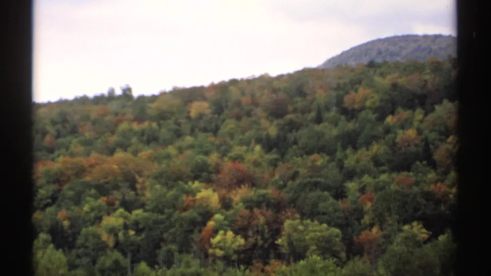 1971 8mm Vermont frame showing a forested hillside in soft focus, with scattered autumn color and a rounded ridge behind it.