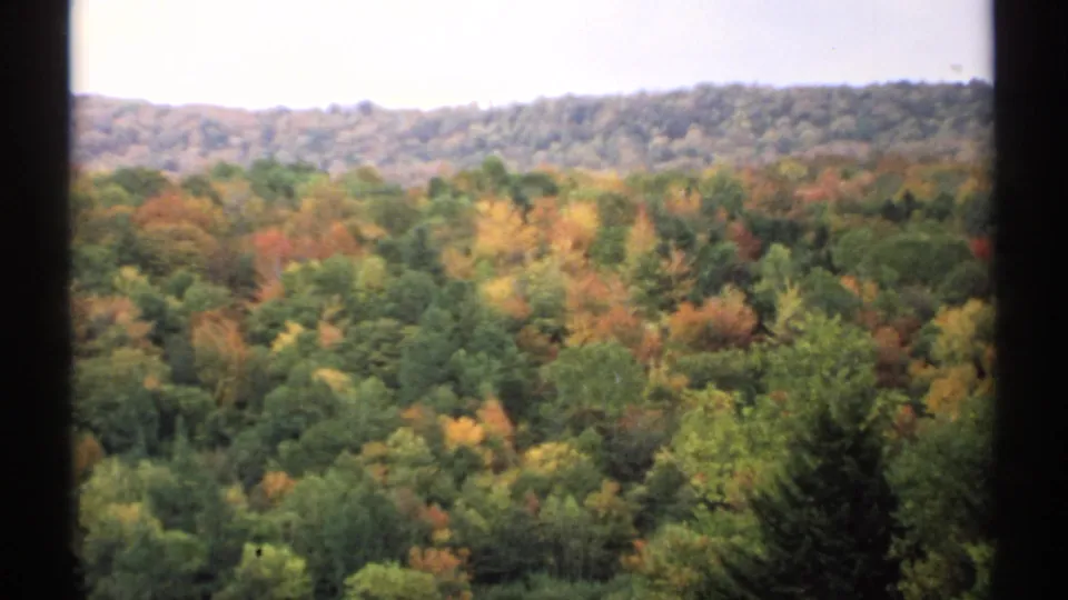 1971 Vermont 8mm frame looking over dense forest with muted fall colors and a hazy ridgeline in the distance.