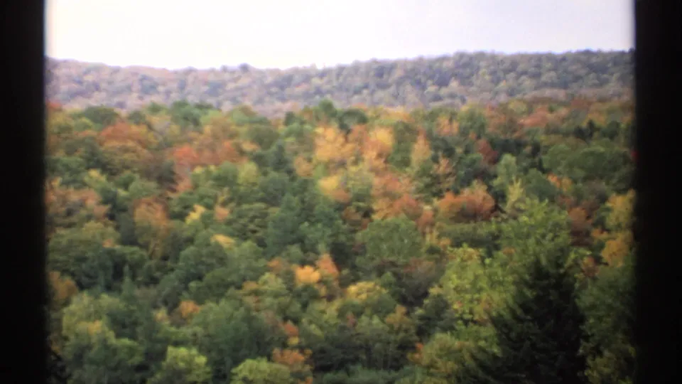 1971 Vermont 8mm frame of rolling forest in fall color, with dark film borders and an overcast sky above the hills.