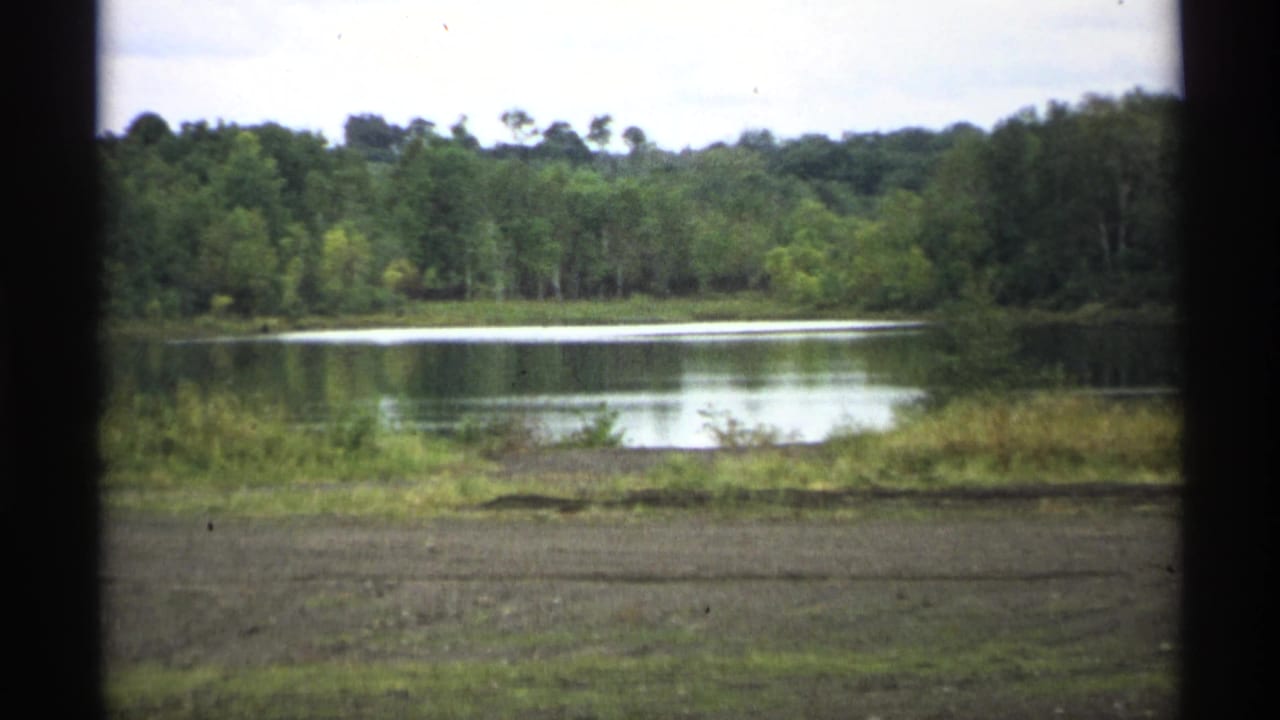 Wide lake view with trees and grassy shoreline beneath a bright cloudy sky.
