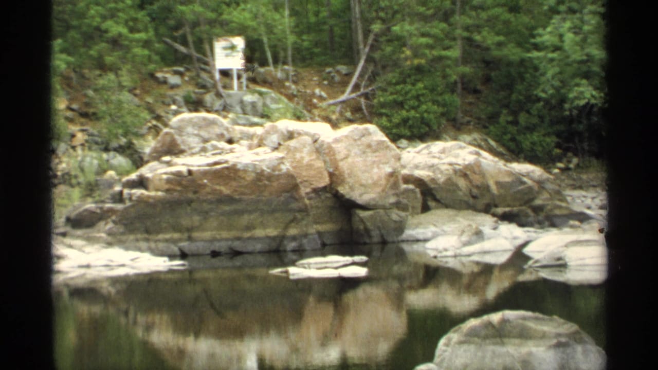 Large pale rocks beside still water with dense green trees behind them.