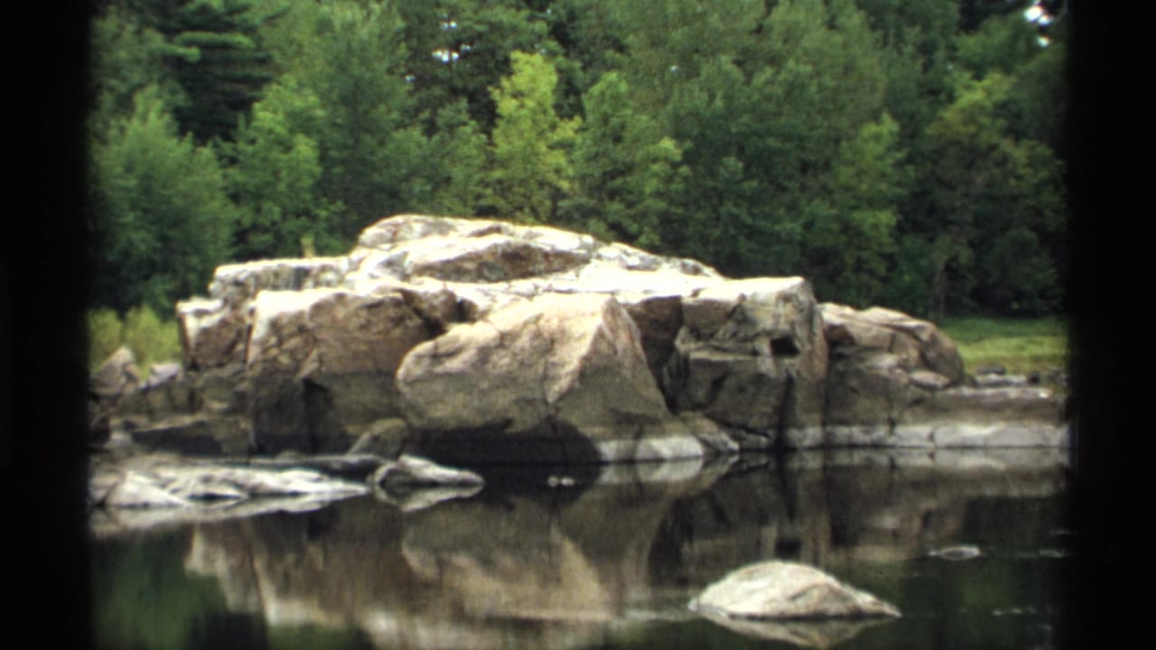 Calm pond with large rocks, forest background, and reflections in still water.