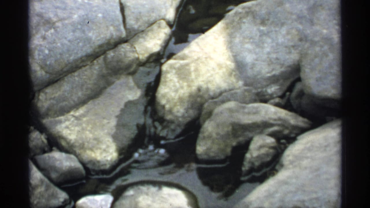 Close view of large smooth stones and narrow channels of water, consistent with the Jim Falls Dam area noted in the clip.