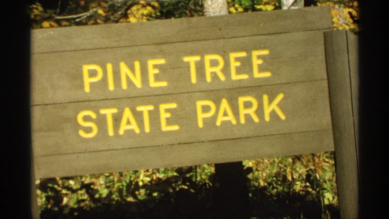Wooden Pine Tree State Park sign with yellow letters beside autumn woods.